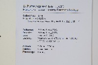 玉山瓦葦藏品圖，第2張