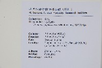 耳羽紫柄蕨藏品圖，第2張