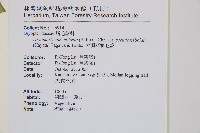 大頂羽鱗毛蕨藏品圖，第2張