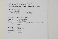 半月形鐵線蕨藏品圖，第2張