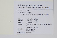 柳葉劍蕨藏品圖，第2張