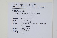 瓦葦藏品圖，第2張