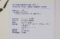 鈍頭金星蕨藏品圖，第2張