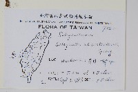 擬密葉卷柏藏品圖，第2張