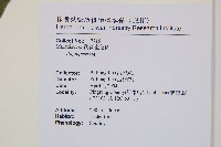 登錄號:P011021藏品圖，第2張