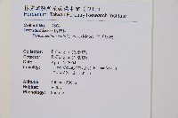 司氏碗蕨藏品圖，第5張