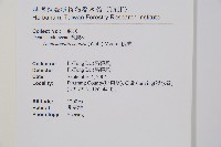 碗蕨藏品圖，第2張