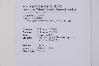 高山鳳丫蕨藏品圖，第2張