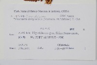 登錄號:P011063藏品圖，第2張