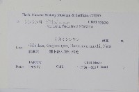 登錄號:P011066藏品圖，第2張