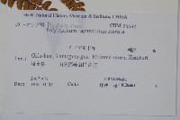 登錄號:P011067藏品圖，第2張