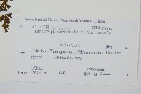 登錄號:P011069藏品圖，第2張