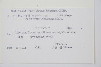 鐵角蕨藏品圖，第2張