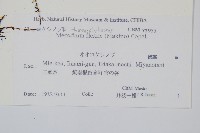 登錄號:P011071藏品圖，第2張