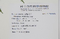 登錄號:P011076藏品圖，第2張