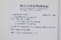 過山龍藏品圖，第2張