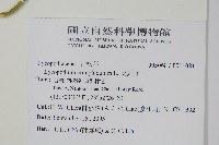 地刷子藏品圖，第2張