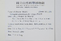 厚壁蕨藏品圖，第2張