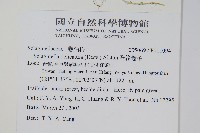 全緣卷柏藏品圖，第2張