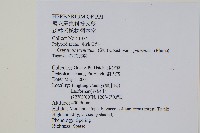 掌葉茀蕨藏品圖，第2張