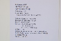 福氏石松藏品圖，第2張
