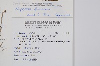 臺灣鱗毛蕨藏品圖，第2張