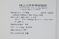 肢節蕨藏品圖，第2張