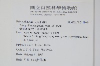 箭葉水龍骨、擬水龍骨藏品圖，第2張