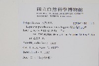 擬芨瓦葦藏品圖，第2張