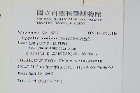 海金沙藏品圖，第2張