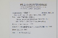 槲蕨藏品圖，第2張