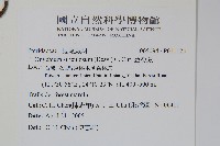 金粉蕨藏品圖，第2張