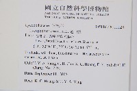 過山龍藏品圖，第2張