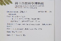 登錄號:P011129藏品圖，第2張