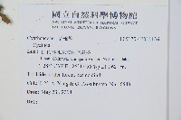 登錄號:P011136藏品圖，第2張