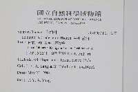 生根卷柏藏品圖，第2張