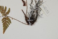 登錄號:P011141藏品圖，第3張