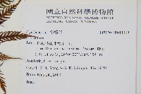 登錄號:P011143藏品圖，第2張