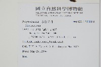 登錄號:P011145藏品圖，第2張