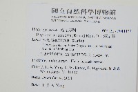 華中瘤足蕨藏品圖，第2張