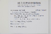 小葉鐵角蕨藏品圖，第5張