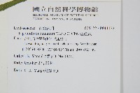 達邊蕨藏品圖，第2張