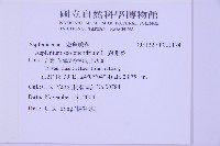 對開蕨藏品圖，第2張