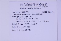 銀杏葉鐵角蕨藏品圖，第2張