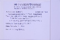 線葉鐵角蕨藏品圖，第2張