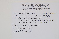 南仁實蕨、南仁刺蕨藏品圖，第2張