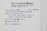 瓶蕨藏品圖，第2張