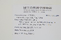 大武禾葉蕨藏品圖，第2張