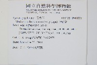 厚壁蕨藏品圖，第2張