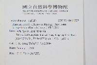 長柄千層塔藏品圖，第2張